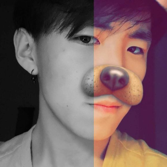 Meet your Posher, Jerry - Picture 1 of 1